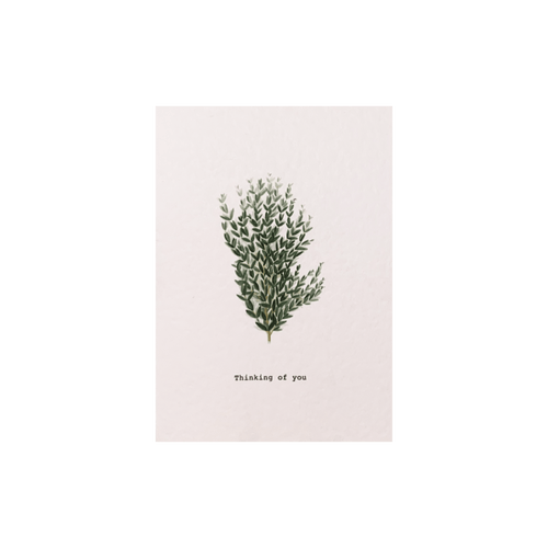 Celtic Herbal x Folded London Greeting Cards - Thinking of You